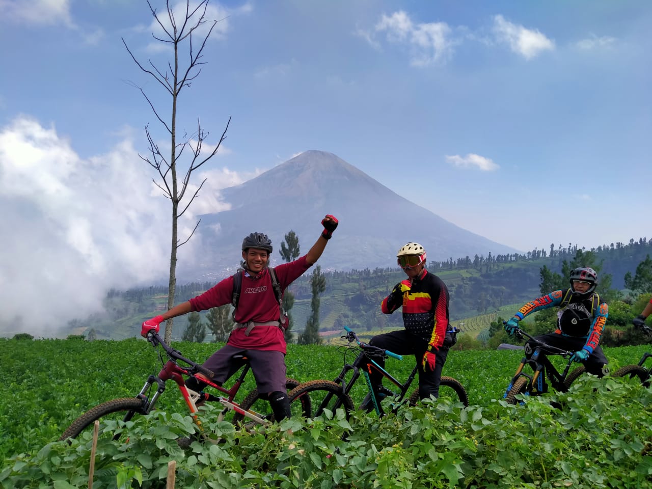 Trek Sindoro Sumbing